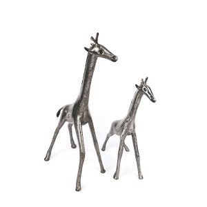 Girafe - la moyenne