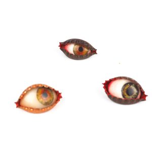 Pin's oeil